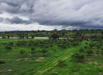 ORGANIC FARMING: What people think VERSUS what it really is (In layman terms)