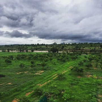 Exploring the Rich Heritage of Khajuraho: Home to Our Pickle Farms