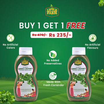 Green chutney Pack of 2 (Buy one get one Free)