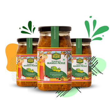 Mango Pickle Saver Pack 400g*3